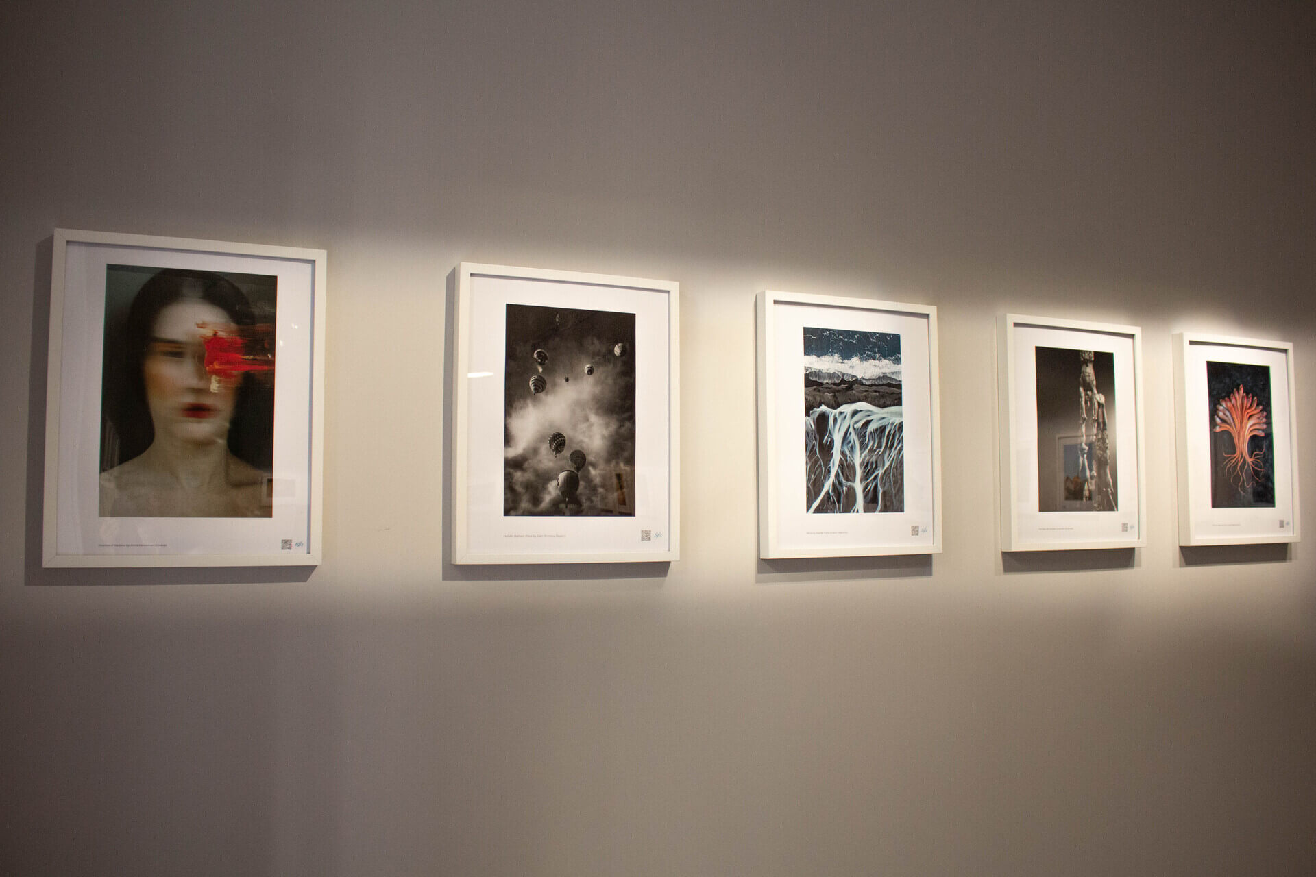 TIFA Winners Exhibition in House of Lucie Budapest